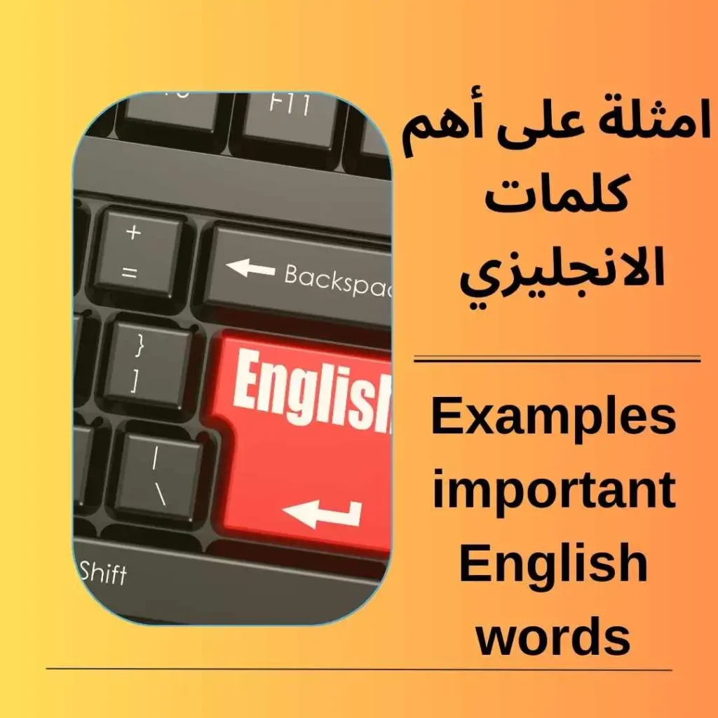 اهم كلمات الانجليزي - كلمات ومصطلحات ينبغي معرفتها